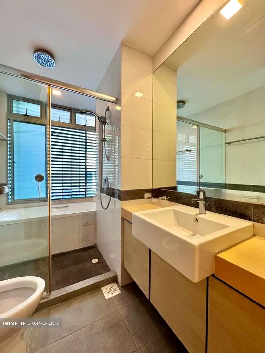 Ceylon Crest (D15), Apartment #537887081